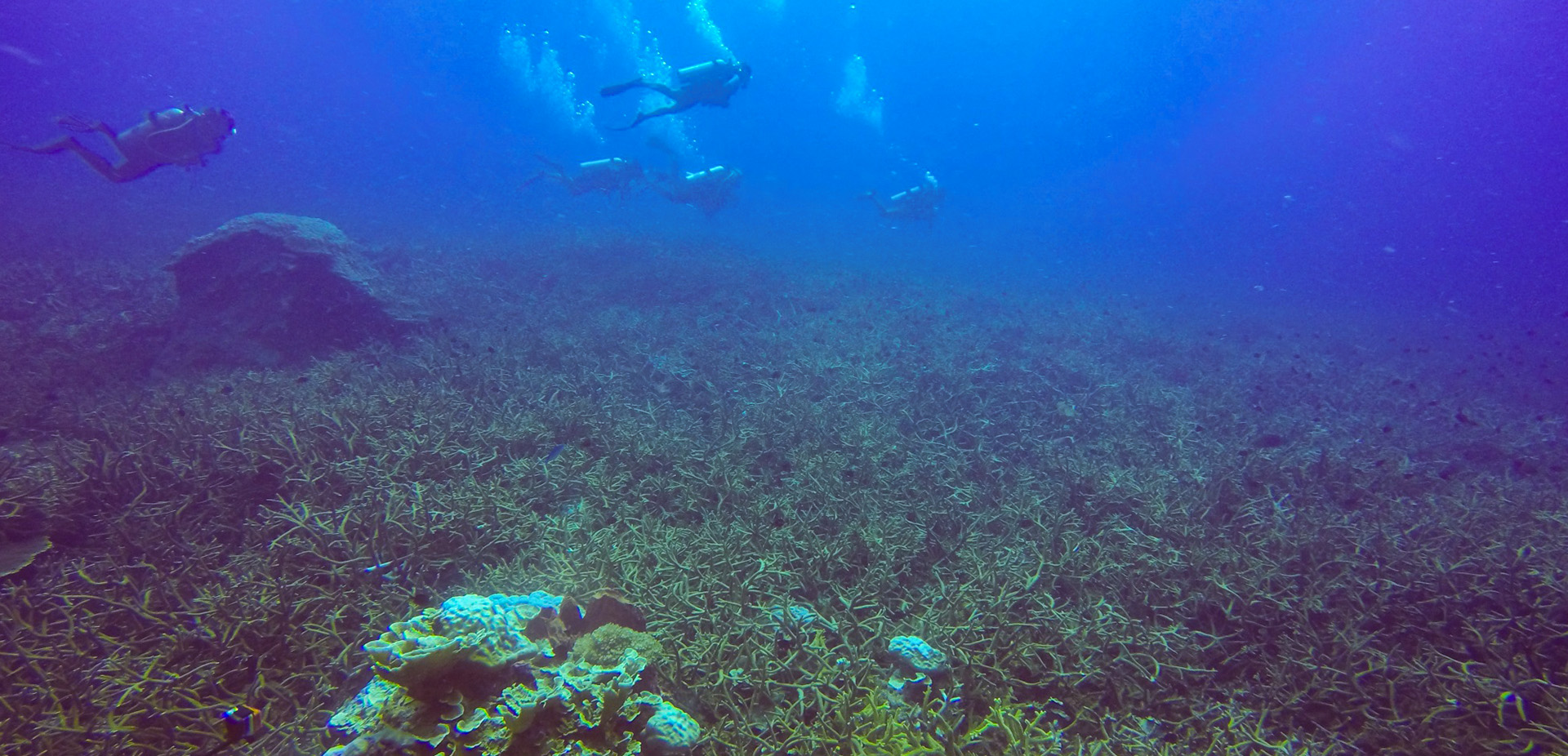 戴思樂水處理技術(shù)