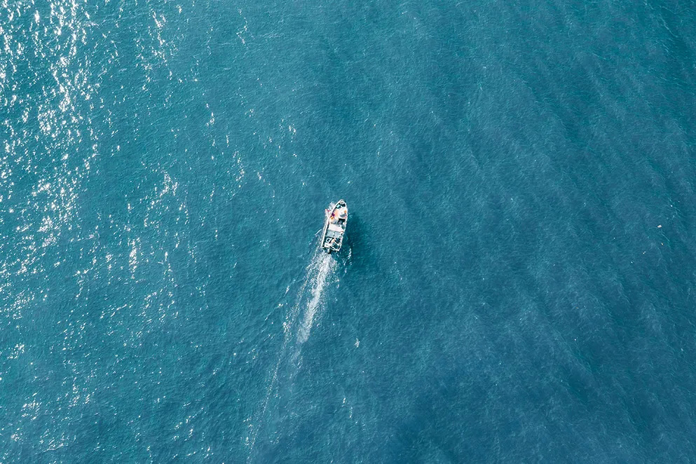 <b>官宣：戴思樂集團(tuán)用戶中心重磅升級(jí)！</b>