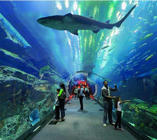 <b>海洋館水質(zhì)如何處理？水處理系統(tǒng)是關(guān)鍵！</b>