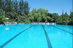 <b>游泳池水質(zhì)如何處理，分享四個(gè)有效方法！</b>