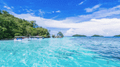 <b>是什么竟把“小而美”的泳池，變成了廣闊無垠的汪洋大海？</b>