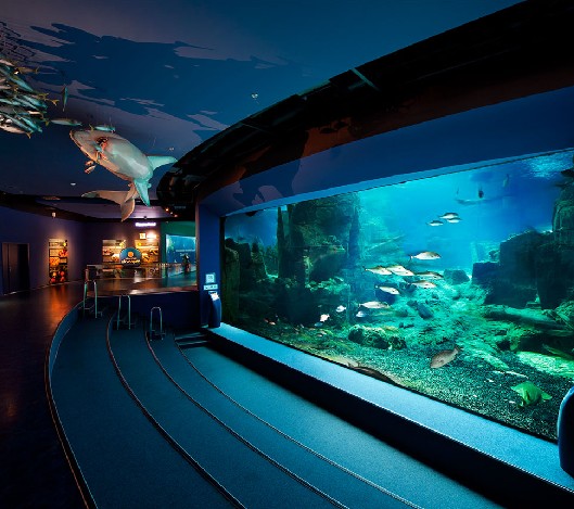 海洋館設(shè)計(jì)，海洋館設(shè)計(jì)要點(diǎn)，海洋館設(shè)計(jì)公司