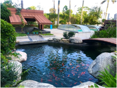 中水處理和污水處理有什么區(qū)別？