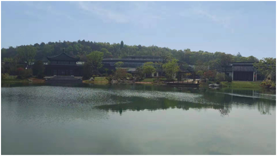 人工湖生態(tài)問(wèn)題如何治理？