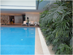 別墅建泳池或魚池，別糾結(jié)了，先來看看兩者的區(qū)別再決定！