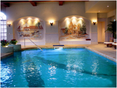 泳池水泵品牌哪家好，如何選型？