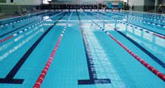 <b>游泳池為什么要做水處理？</b>