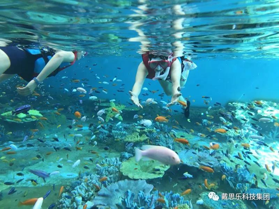 海洋浮潛館，海洋館設(shè)備