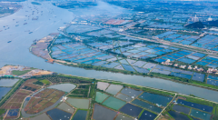 保證水質還高產(chǎn)！那是因為魚苗養(yǎng)殖戶都用上了“它”！