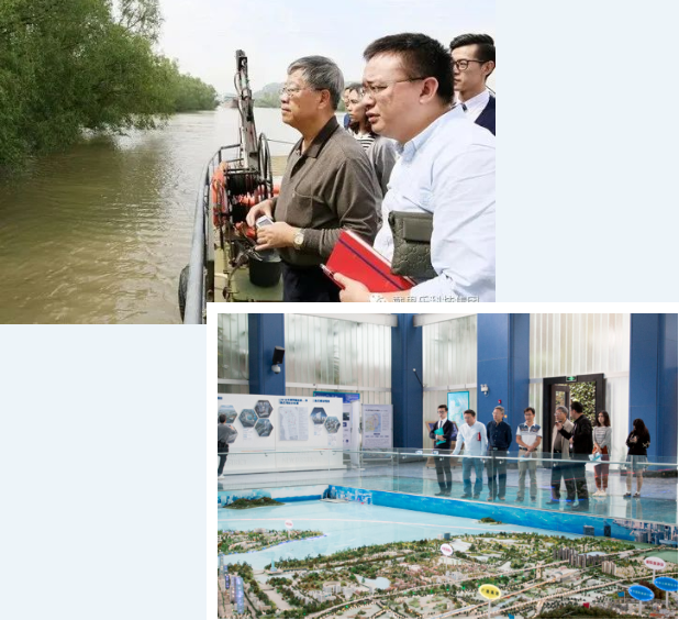 戴思樂(lè)濕地生態(tài)系統(tǒng)