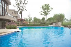 泳池循環(huán)水泵有沒專用泵，還是只要是離心泵就可以用在泳池呢？