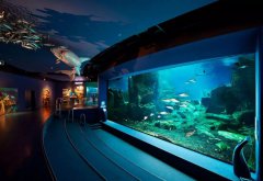 水族館的建設(shè)過程中需要考慮哪些因素？需要哪些設(shè)備呢？