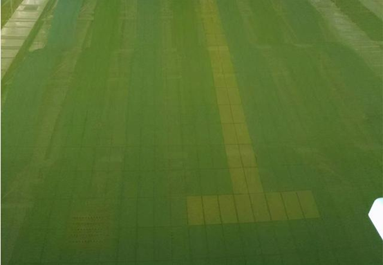 解決游泳池水質(zhì)渾濁的四大策略，歡迎查閱！