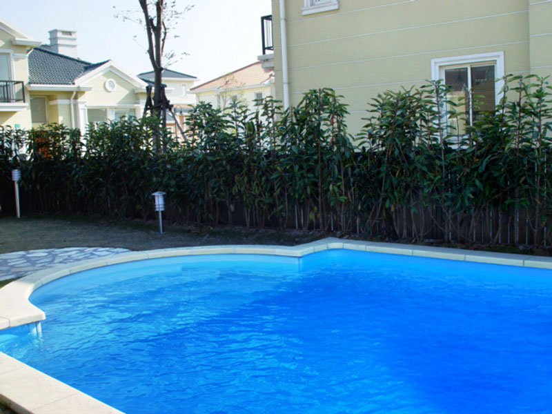 告別泳池水底污垢，這款游泳池水龜是 “神器”！