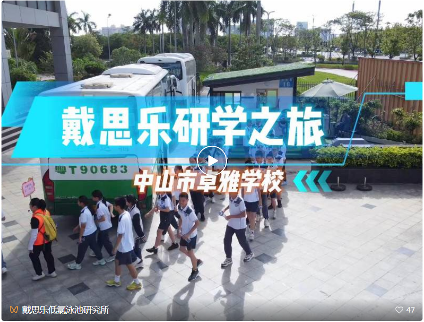 戴思樂集團(tuán),戴思樂