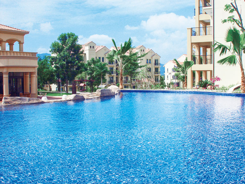 無線游泳池水龜哪家好？