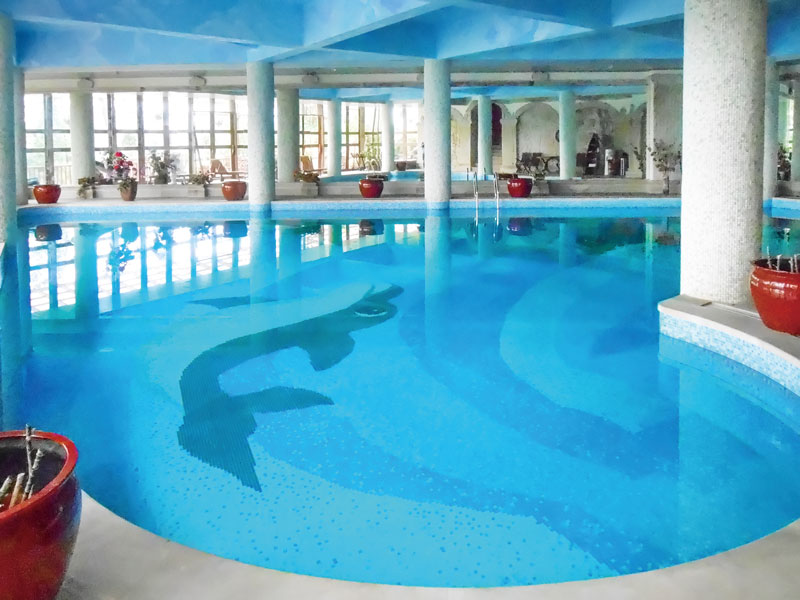 游泳池水變綠又渾濁是什么原因？一文看懂解決思路