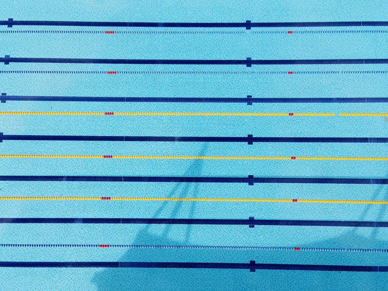 <b>泳池水處理藥劑招商，熱門(mén)商機(jī)誠(chéng)邀加盟！</b>