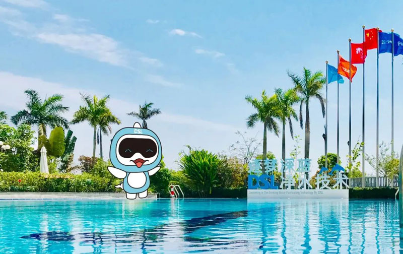 <b>別墅游泳池設(shè)備廠家哪家好？怎么選？</b>